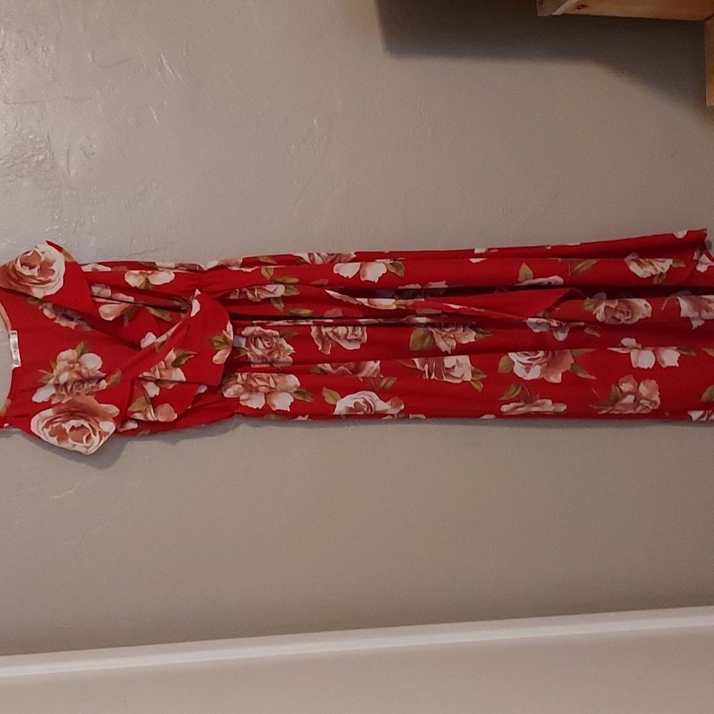 Heart Hips Red Floral Dress Size Medium